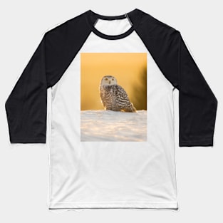 Snowy Owl Baseball T-Shirt